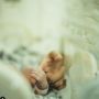 Dialami Bayi Lesti Kejora, Ini 4 Perawatan yang Diperlukan Bayi Prematur