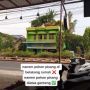 Viral Pohon Pisang Ditanam di Genteng, Publik: Biar Aman dari Salam Binjai