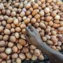 Harga Telur Ayam Disebut Mustahil Turun, Malah Bakal Naik Lebih dari Rp27 Ribu, Ini Masalahnya