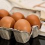 Berita Hits Kesehatan: Manfaat Telur untuk Pasien Covid-19, Omicron Reda Pandemi Selesai?