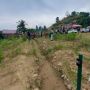 Pemkot Samarinda Seperti Rebutan Lahan dengan Mafia Tanah, Kenapa?