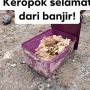 Isi Masih Segar, Korban Banjir Ungkap Wadah Makan Bikin Kagum Warganet: Incaran Emak-Emak