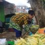 Sambut Malam Tahun Baru, Warga Pontianak Ramai-ramai Borong Jagung
