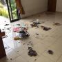 Diduga Sisa Perayaan Tahun Baru, Villa Ini Dibuat Porak Poranda, Pemilik Lesu