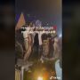 Heboh! Kondangan Rasa Party, Pasangan Pengantin Ini Sewa DJ saat Menikah