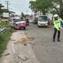 Adu Banteng Dengan Mobil yang Dikemudikan Seorang Kakek, Anggota Polres Gunungkidul Meninggal Dunia