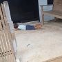 Hati Ortu Teriris! Anak Tiduran Depan Rumah Tetangga, Mau Nonton TV Tapi Tak Boleh Masuk