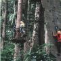 7 Wisata Alam Instagramable di Baturaden yang Wajib Dikunjungi