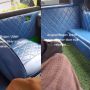 Manjakan Penumpang dengan Interior Mewah, Angkot di Bogor ini Bikin Warganet Ingin Rebahan