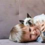 Penting! Kenali Penyebab, Ciri, dan Penanganan Kucing saat Keracunan