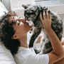 Kenali 5 Ciri Kucing Merindukan Pemiliknya, Mulai dari Merusak Barang hingga Mengekor