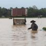 6.265 Hektare Sawah Warga di Aceh Terdampak Banjir
