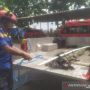 Buaya Muara Gegerkan Warga Kuripan Pekalongan, Dipancing dengan Ayam Sebelum Ditangkap
