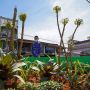 Wajib Dikunjungi! Ini 3 Tempat Wisata yang Ada di Pontianak Utara