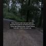 Curhat Pemotor Tersesat di Sebuah Hutan Saat Hujan, Ketemu Bapak Misterius yang Baik Hati