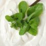 5 Manfaat Yoghurt yang Jarang Diketahui Banyak Orang