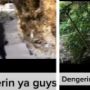 Wisatawan Ini Bergurau Sambil Teriak di Tempat Sakral Nusa Penida Bali, Ini Yang Terjadi