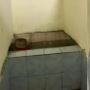Viral Penampakan Konsep Toilet Umum Bikin Tak Tenang, Warganet: Mending Nahan