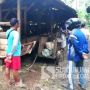 Syok Lihat Pemandangan Ini, Saman Pingsan di Depan Kandang Sapi