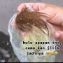 Sudah Habis Semangkuk, Perempuan Ini Nyesel Lihat Rambut Kaki Hewan di Kuah Baksonya