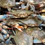 Crab Mentality: Sikap Iri dan Cara Menghadapinya yang Jarang Diketahui