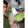 Aksi Anak Tanya Emak Kenapa Selalu Masak Malah Kena Semprot, Salfok Sama Bunyi Panci