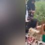 Viral Remaja Wanita Dianiaya di Medan, Begini Ceritanya