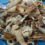 Jual Daging Spesies Langka Penyu Hijau, Enam Warga Sulsel Ditangkap Petugas