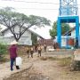 Dusun Wuni Kini Tak Lagi Kesulitan Air Bersih Berkat Bantuan PT Semen Gresik