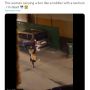 Heboh Wanita Gendong Macan Seperti Bawa Balita Ngamuk, Netizen Riuh