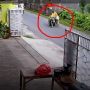 Jatuh Tersungkur Akibat Kecelakaan di Jalan, Pemuda Ini Justru Lakukan Hal Tak Terduga