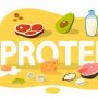 Kenali 5 Jenis Protein Berdasarkan Fungsinya
