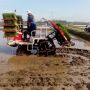 Terus Menyusut, Lahan Sawah Indonesia Berkurang 90.000 Hektare Tiap Tahun