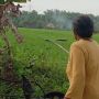 The Power of Emak-Emak, Seorang Ibu Ngeyel Sambangi Ular di Sawah, Sang Anak Ketar-Ketir