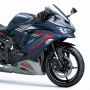 Bocor! Kawasaki ZX-25R 2022 Hadir dengan Satu Warna Baru, Makin Ganteng Nih