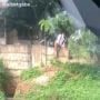 Viral Cowok Dijemput di Pinggir Tol sampai Nekat Panjat Tembok Pembatas, Ending Apes