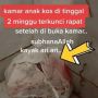 Buka Kamar Anak Kos yang Ditinggal 2 Minggu, Bapak Kos Syok Lihat Benda Ini, Sempat Dikira Ari-ari Bayi