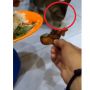 Sekelompok Pemuda Kerjai Kucing Lapar, Tuai Kecaman Warganet: Tega Amat Ya