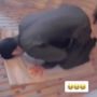 Pria Salat Salah Kiblat Sampai Teman Gemas Buka Gorden, Publik: The Real Buta Map