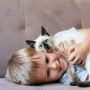 8 Benda yang Berbahaya untuk Kucing, Singkirkan Agar Anabul Kesayangan Tetap Aman