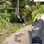 Aksi Dua Polisi saat Kawal Kotak Suara, Penuh Perjuangan, Sampai Jatuh Bangun