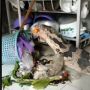 Lupa Beri Makan Hewan Peliharaan, Biawak Berujung Comot Sayur dari Bak Sampah: Vegetarian