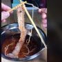 Bukannya Dimakan, Perempuan Ini Malah 'Merajut' Mie Kuahnya, Videonya Ditonton 27 Juta Kali