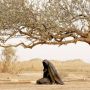 Dituding Nistakan Islam, Film The Lady of Heaven Picu Protes di Inggris: Cerita Tentang Putri Nabi Muhammad dan ISIS