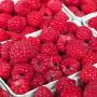 7 Manfaat Buah Raspberry bagi Kesehatan yang Jarang Diketahui, Baik untuk Jantung!