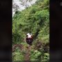 Nekat Lewat Jembatan Kayu, Motor XMAX Berakhir Terperosok ke Sungai