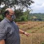 Cekcok di PN Cibinong, Petani Coklat Gugat Sentul City Rp 3,8 Miliar