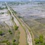 Curah Hujan Tinggi, 2.773 Hektare Sawah di OKI Terancam Gagal Panen