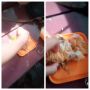 Bawa Bekal Ayam Goreng, Aksi Teman Langsung Geprek Sukses Bikin Syok