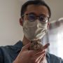 Covid-19 Menyerang Hewan di Hong Kong, 2.200 Hamster Dimusnahkan untuk Mengantisipasi Penularan